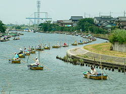 佐原ふな釣り大会の様子の写真