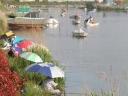 佐原ふな釣り大会の様子の写真2